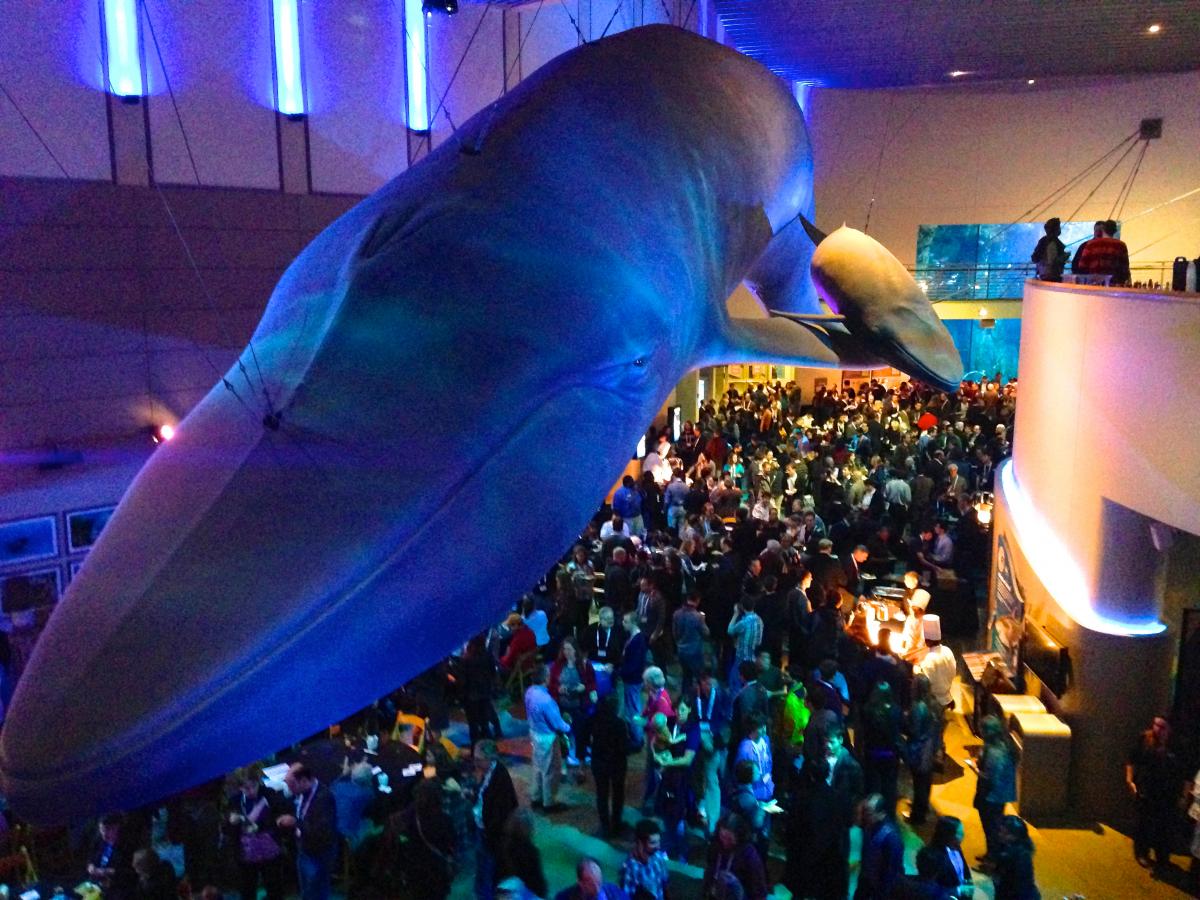 Astronomers, astrophysicists, educators, and students gather in the Long Beach Aquarium for the opening reception. Photo by Jill Pestana