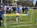 The Hartnell College SPS "Physics Olympics" outreach event.