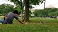 Trying to feed a squirrel...