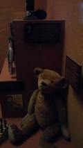 The original teddy bear...