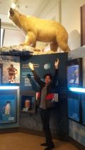 The majestic polar bear...