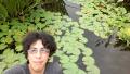 Lilly Pads!!!!