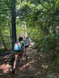 On the hike