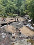 The Falls