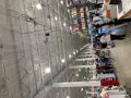 Collins at a Costco