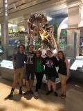 Seeing the Dinosaurs