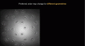 Hypnotic spinning droplets demonstrate Pilot Wave Theory