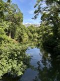 Photo of water and trees.