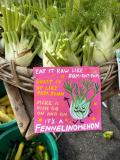 It's a Fennelinomenon!