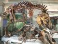 Dinosaurs at the Smithsonian